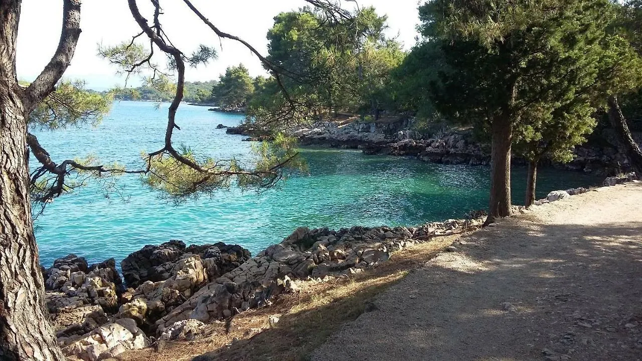 Villa Kate, With A Private Swimming Pool And Garden Malinska 0*,